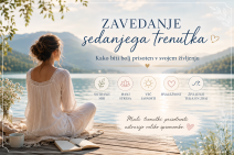 Zavedanje sedanjega trenutka