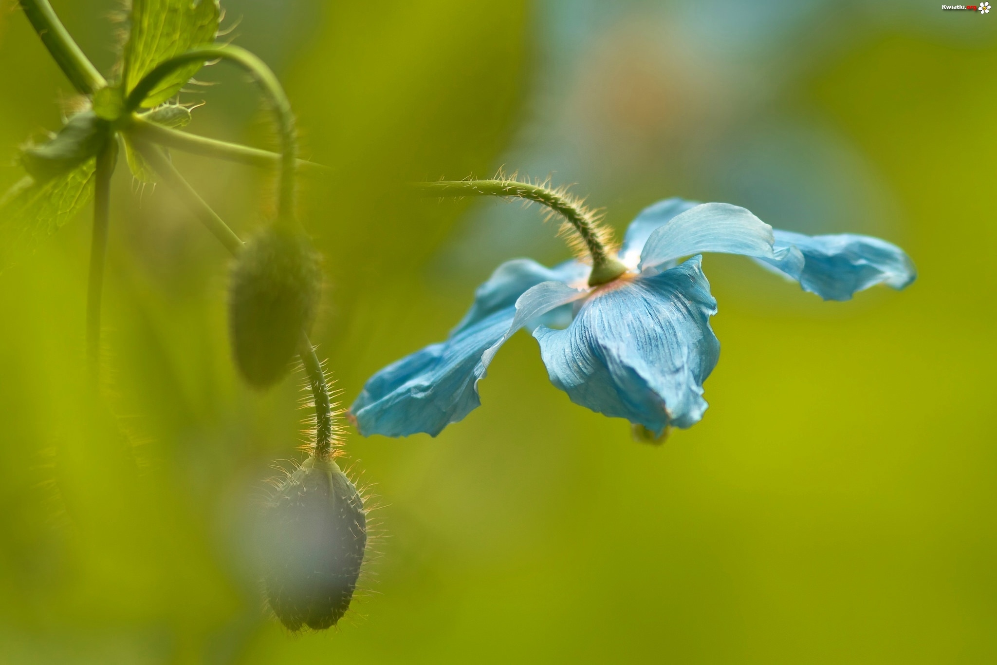 Začnite dan z nasmehom!