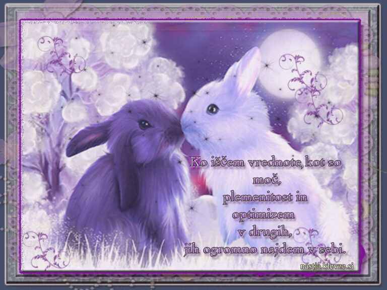 Moja pozitivčica o vrednotah