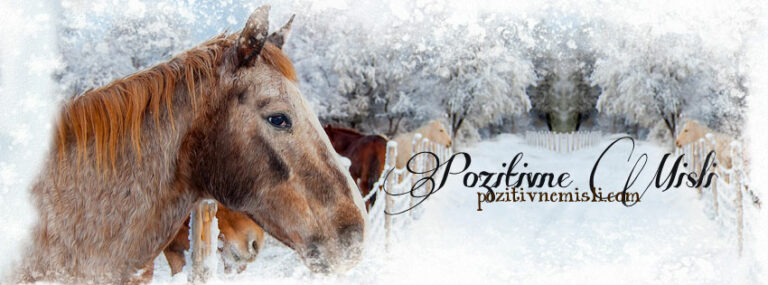 Nastja o Pozitivnih Mislih