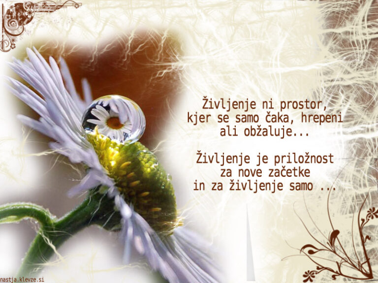 Pozitivčica – življenje je priložnost