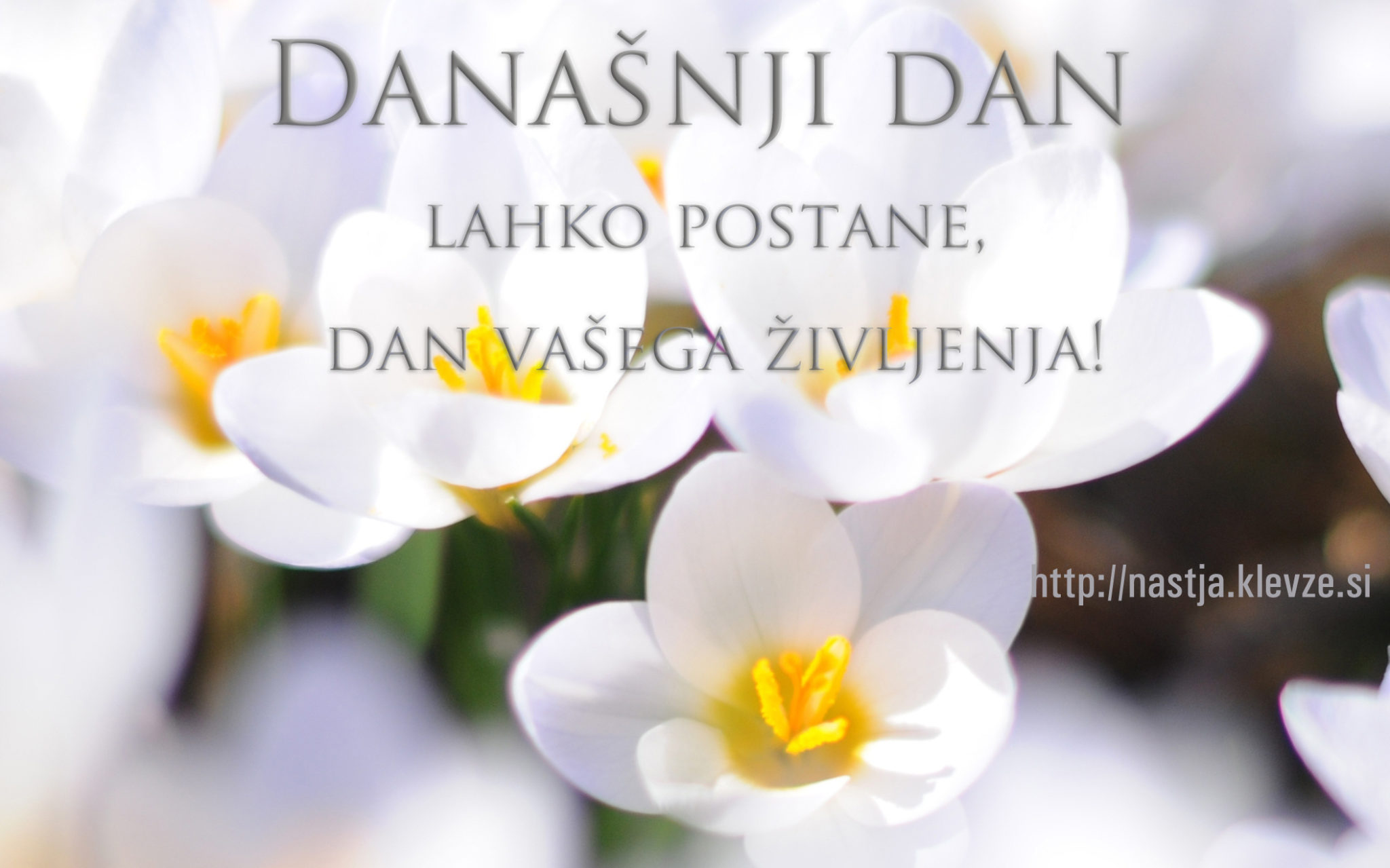 Današnji dan