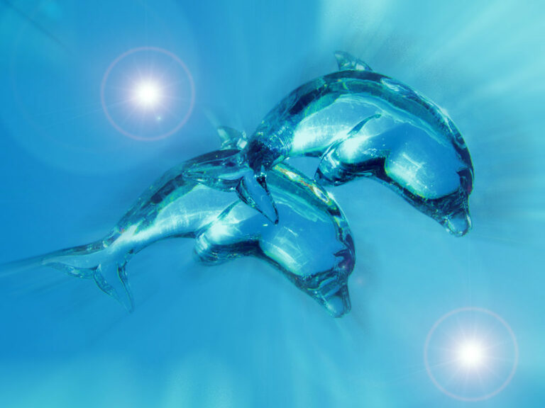 Delfini – stekleni