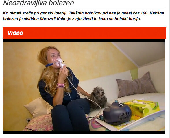 Mali koraki  povzetek