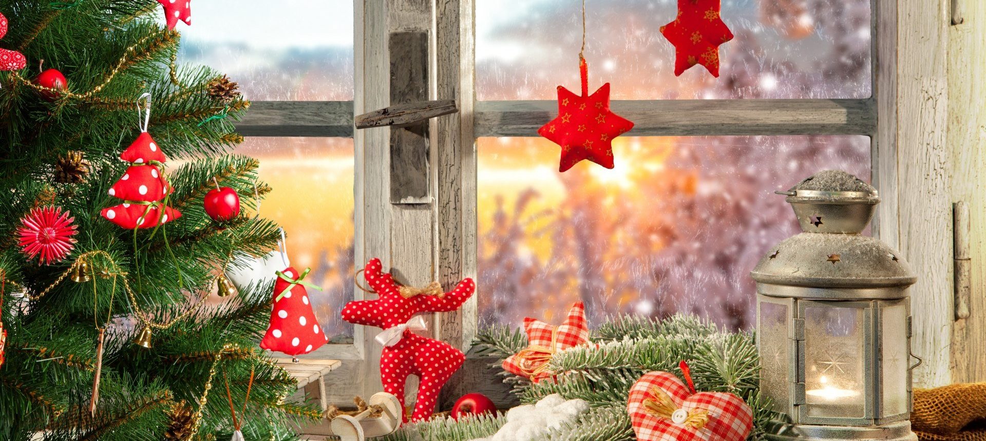 Pozdravljeno, božično drevo