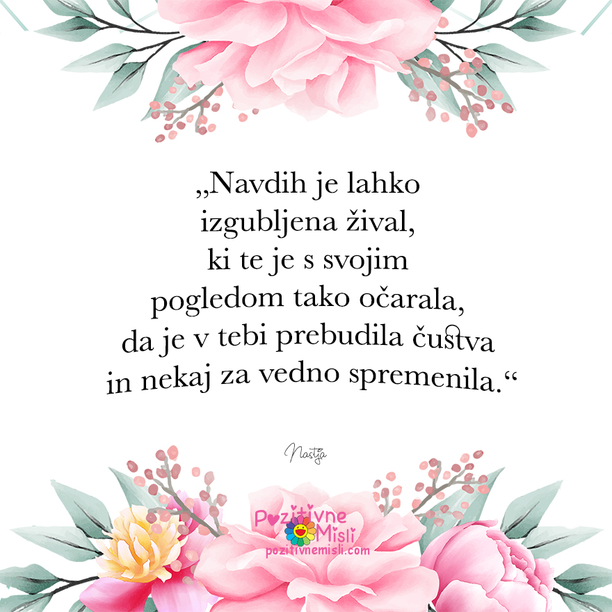 Navdih - inspiracija -najlepše misli