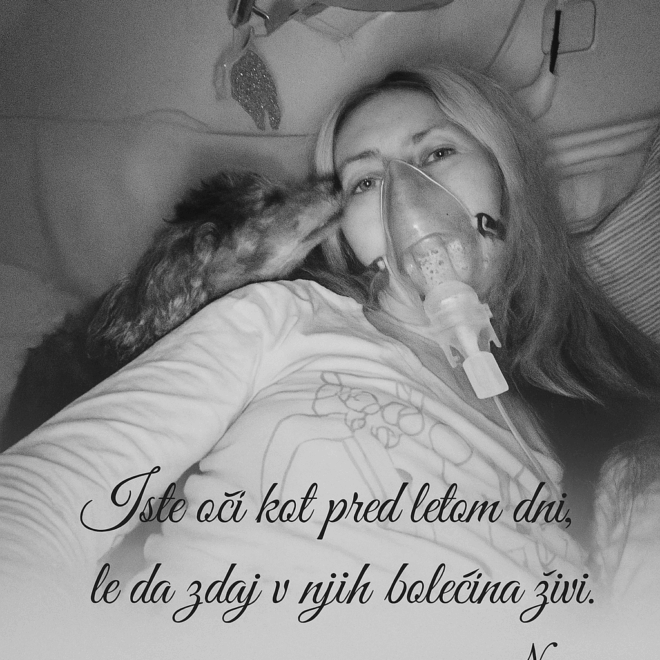 Izguba psa terapevta - pudelj Dino