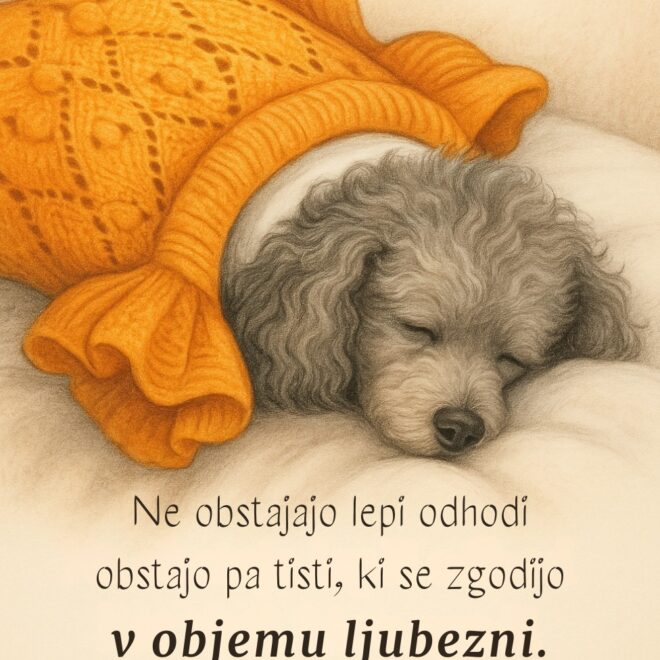 Dino, teden dni brez tebe