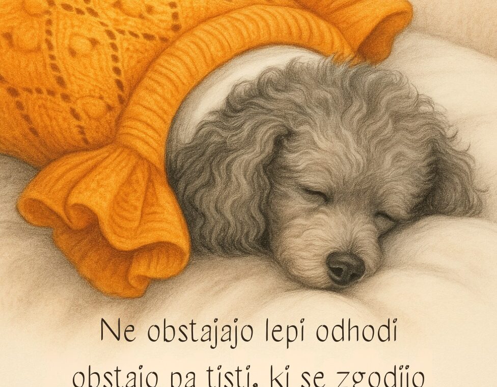 Moj Dino teden dni brez tebe tako boli